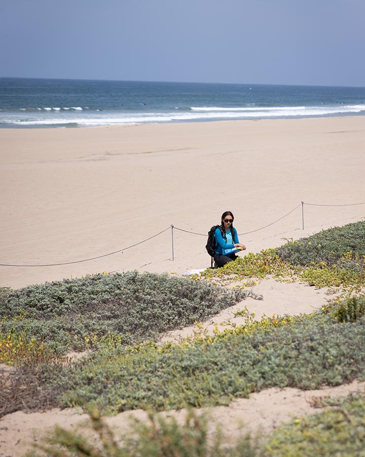 Wide shot of a student working in sand dunes set against the backdrop of the LA Coastline